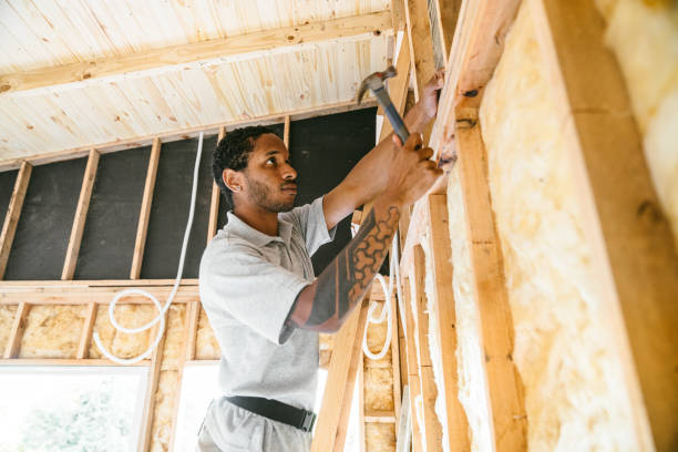 Best Attic Insulation Installation  in Long Creek, IL